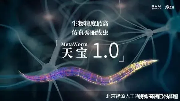 Education AI Technology